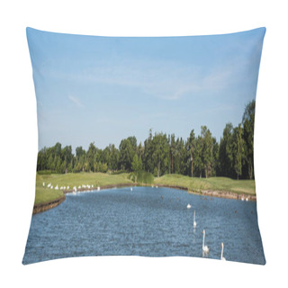 Personality  Panoramic Shot Of White Swans Swimming In Lake Near Green Park  Pillow Covers
