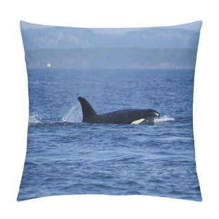 Personality  Orca  Pillow Covers