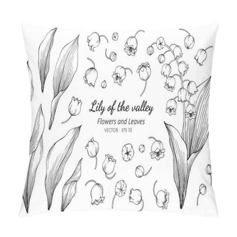 Personality  Collection Set Of Lily Of The Valley Flower And Leaves Drawing I Pillow Covers