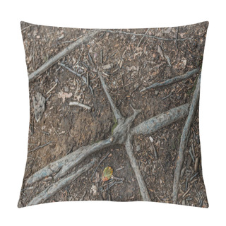 Personality  Top View Of Leaves Near Roots On Ground In Forest  Pillow Covers