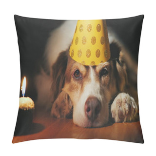 Personality  Portrait Of A Birthday Dog In A Cap Pillow Covers