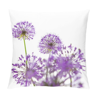 Personality  Beautiful Allium / Abstract On White Pillow Covers