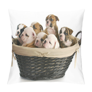 Personality  Litter Of Puppies Pillow Covers