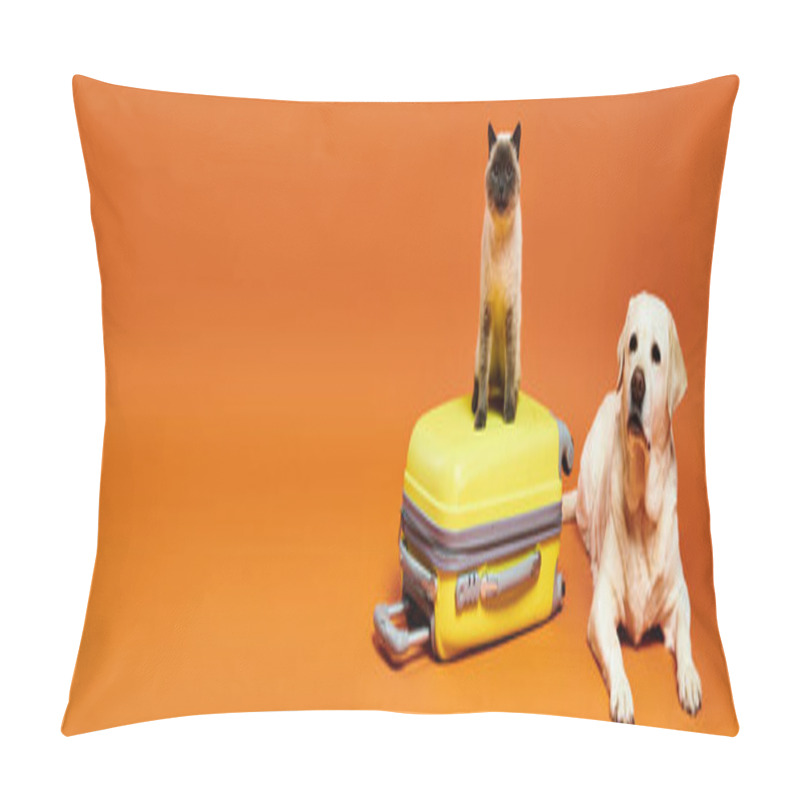 Personality  A Fluffy Dog And Cat Confidently Stands Atop A Vibrant Yellow Suitcase In A Studio Setting. Pillow Covers