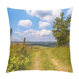 Personality  Walking Trail On A Hill In A Green Summer Landscape Pillow Covers