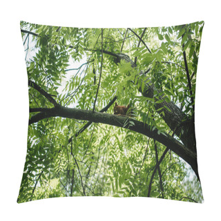 Personality  Bottom View Of Adorable Squirrel Sitting On Tree Branch Pillow Covers