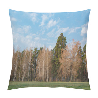 Personality  Spring Landscape With Trees And Sky, Nature Pillow Covers
