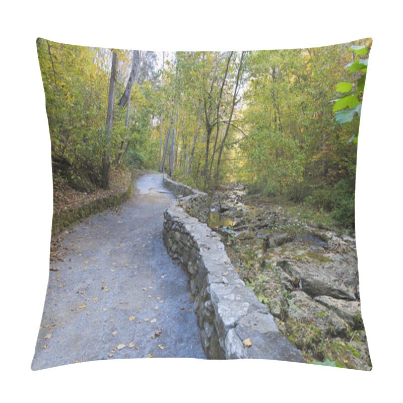 Personality  Cedar Creek Trail at Natural Bridge in the fall pillow covers