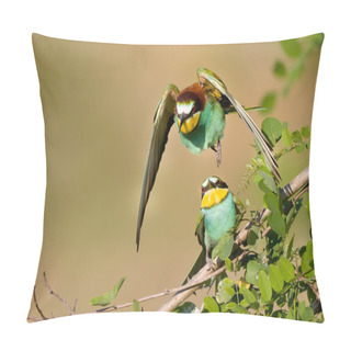 Personality  Bee-eater Couple Pillow Covers