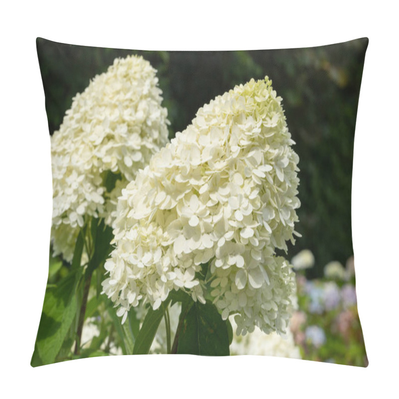 Personality  Hydrangea, Hydrangea Paniculata Pillow Covers