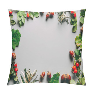Personality  Top View Of Arrangement With Common Sea Buckthorn, Briar And Acorns Autumn Herbs On Grey Backdrop Pillow Covers