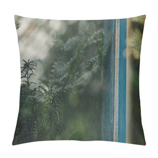 Personality  Selective Focus Of Branches With Green Leaves Of Cypress Pillow Covers