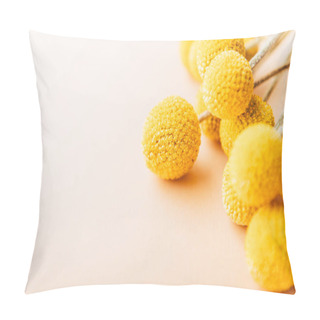 Personality  Craspedia Globosa Dry Flowers Pillow Covers