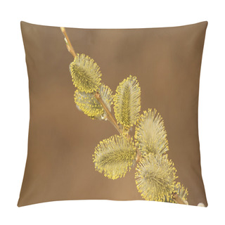 Personality  Spring Pillow Covers