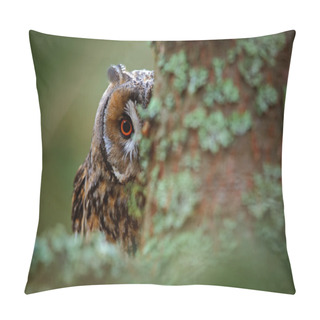 Personality  Long-eared Owl  Pillow Covers