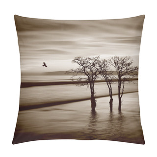 Personality  Beautiful Sepia Landscape Pillow Covers