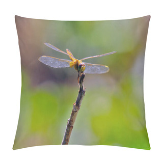 Personality  Dragonfly On A Branch In The Forest. Macro Photography Of Dragonfly Pillow Covers