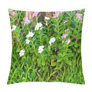 Personality  Watercress Flowers Pillow Covers