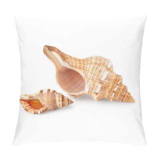Personality  Different Seashells Isolated On White Background Pillow Covers