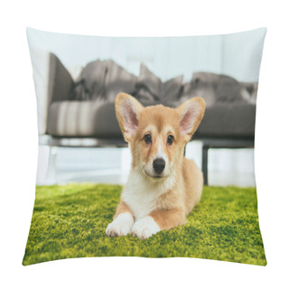 Personality  Adorable Welsh Corgi Pembroke Sitting On Green Lawn In Living Room At Home Pillow Covers