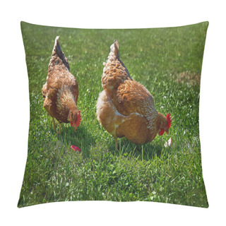 Personality  Two Chickens On Green Grass. Chickens Farm Scene. Chickens Walk Grass. Chicken Hen Farm Pillow Covers