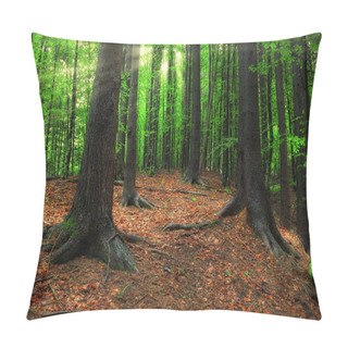 Personality  Carpathian Forest And Sun Beams Pillow Covers