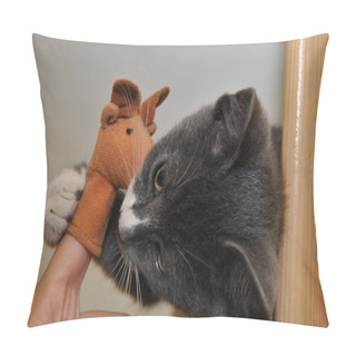 Personality  Funny Cat Pillow Covers