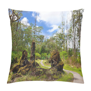 Personality  Lava Molds Of Tree Trunks In Lava Tree State Monument On Big Island Of Hawaii, USA  Pillow Covers