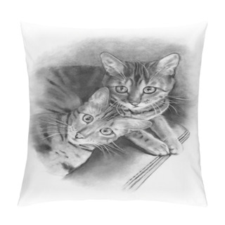 Personality  Bengal Cats, Pencil Drawing, Realism Pillow Covers