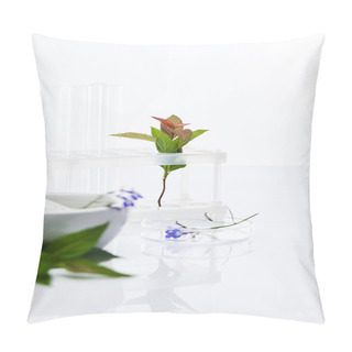 Personality  Selective Focus Of Glass Test Tubes, Mortar With Pestle Near Plants Samples Isolated On White Pillow Covers