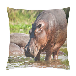Personality  Wild Hippo Pillow Covers