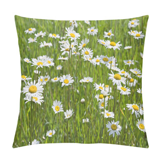Personality  Chamomile Field Pillow Covers