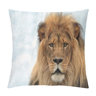 Personality  Male Lion Pillow Covers
