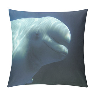 Personality  BELUGA Delphinapterus Leucas Pillow Covers