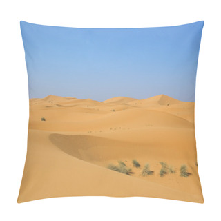 Personality  Desert After Rain Pillow Covers