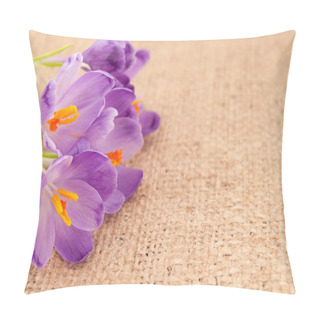 Personality  Crocus Flowers  Pillow Covers