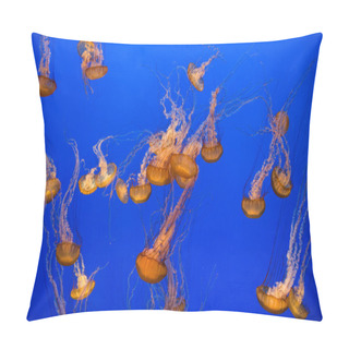 Personality  Beautiful Jelly Fishes Pillow Covers