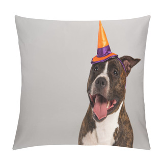 Personality  Purebred Staffordshire Bull Terrier In Halloween Pointed Hat Isolated On Grey Pillow Covers