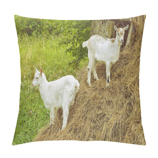 Personality  White Goats Pillow Covers