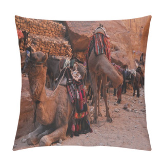 Personality  Dromedary Camel In The Ancient City Of Nabe Petra. Tourist Attraction And Transport For Visitors. A Ship Of The Desert, Traveling In Caravans. Pillow Covers