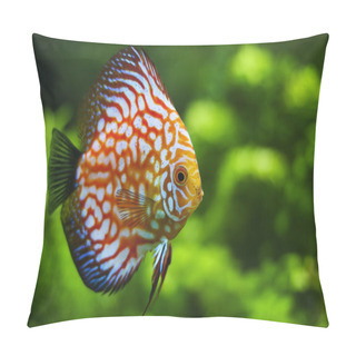 Personality  Red Discus Pillow Covers
