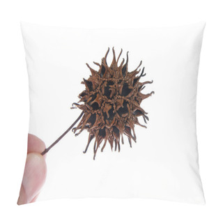 Personality  Sweet Gum Tree Seed Pod From Liquidambar Styraciflua, Commonly Called American Sweet Gum A Deciduous Tree In The Genus Liquidambar Native To Warm Temperate Areas Pillow Covers