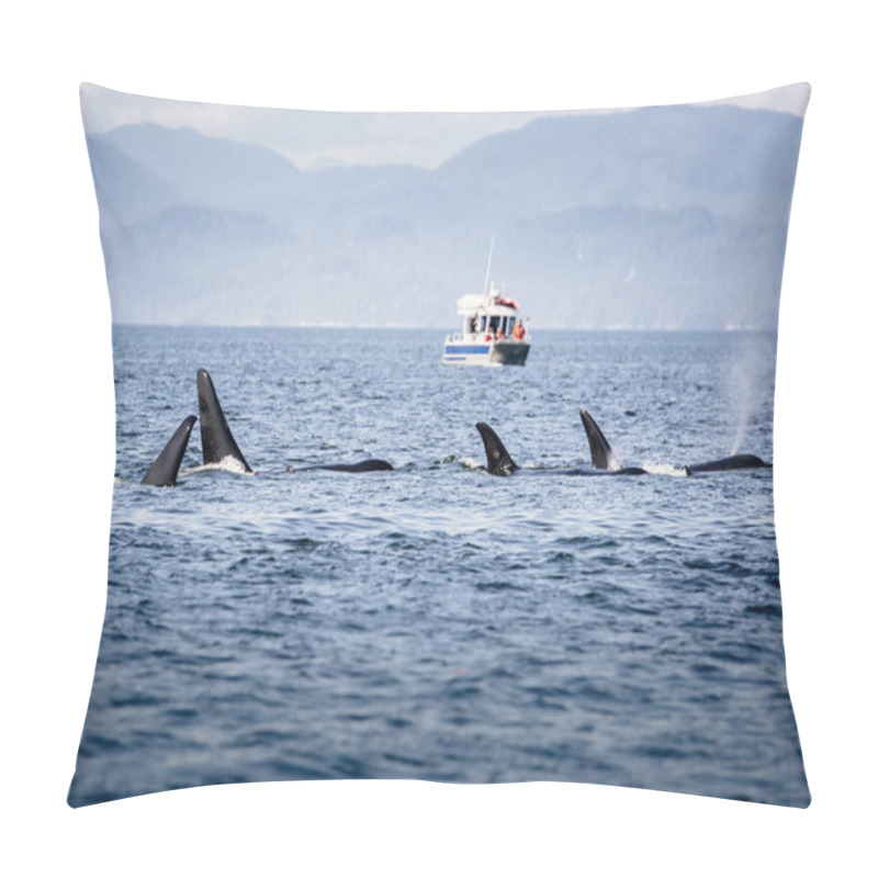 Personality  Killer Whales pod in British Columbia, Canada pillow covers