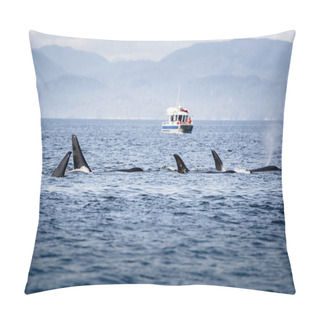 Personality  Killer Whales Pod In British Columbia, Canada Pillow Covers