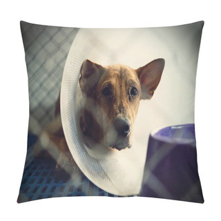 Personality  Dog Injured  Treated By A Vet And Rejuvenation. Pillow Covers