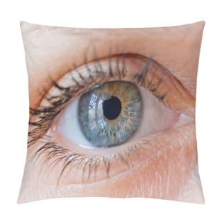 Personality  Beautiful Woman Eye. Close-up. Pillow Covers