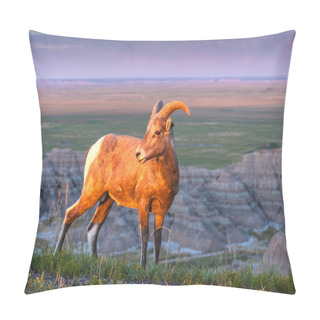 Personality  Badlands Bighorn Sheep At Sunrise Pillow Covers
