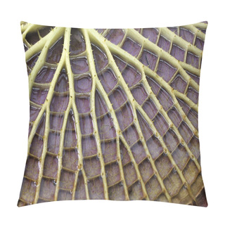 Personality  Victoria Amazonica Pillow Covers
