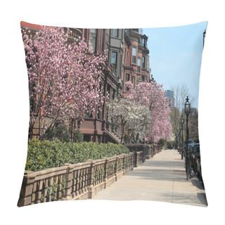 Personality  Back Bay, Boston Pillow Covers