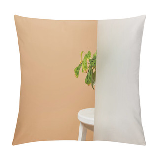 Personality  Green Leaves Of Plane On White Stool Behind Glass Isolated On Beige Pillow Covers